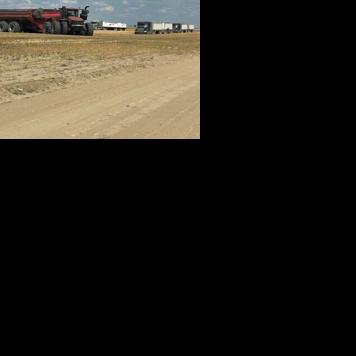 Hansen harvest complicated by rainfall in late July