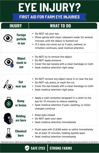 Draft 5 - Eye Protection. 5.5 x 8.5 - 2