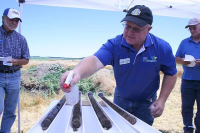 Soil samples
