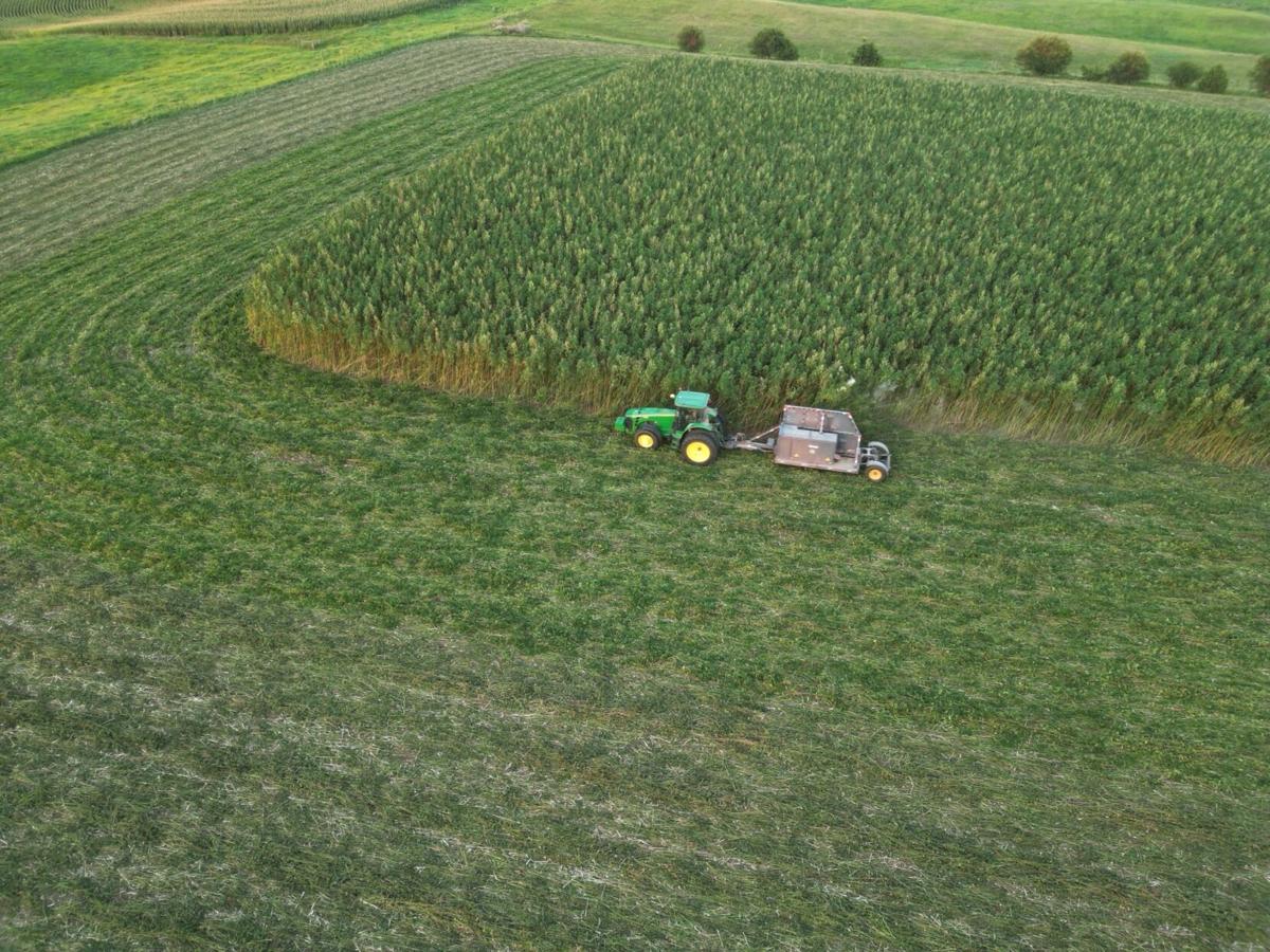 dji_fly_20250820_081020_140_1755657653311_photo.jpeg