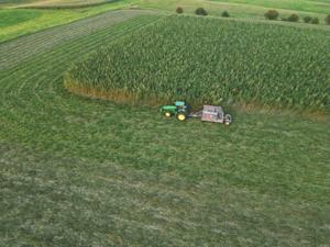 Building a hemp market