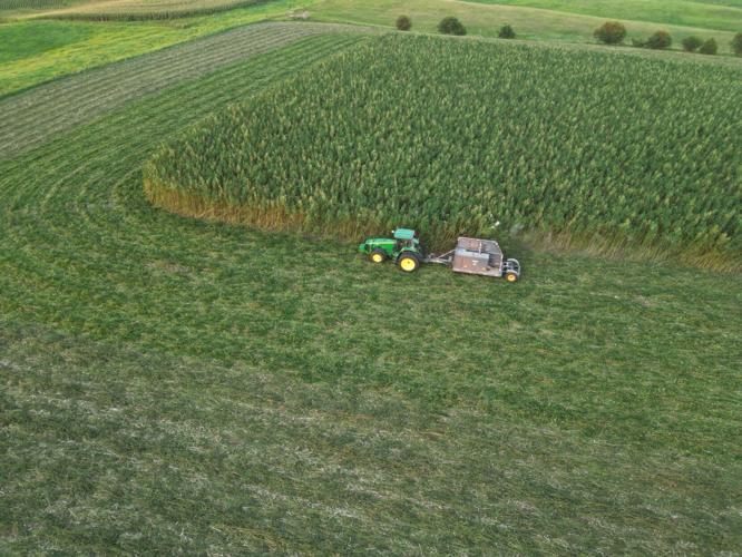 dji_fly_20250820_081020_140_1755657653311_photo.jpeg