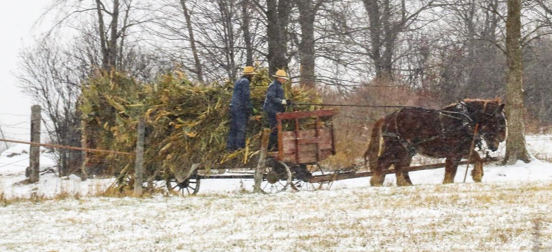 Amish wagon in snow
