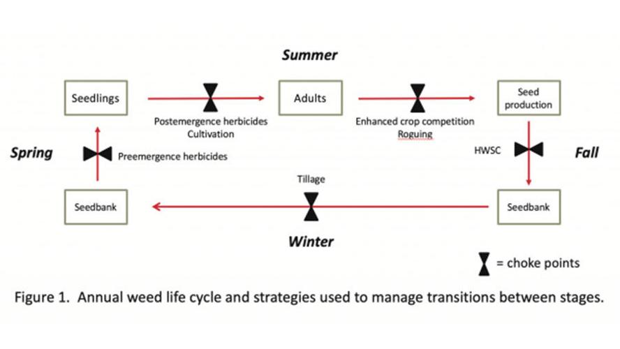 Weed control graphic