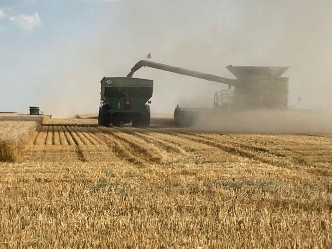 Nebraska Wheat recap 1.JPEG