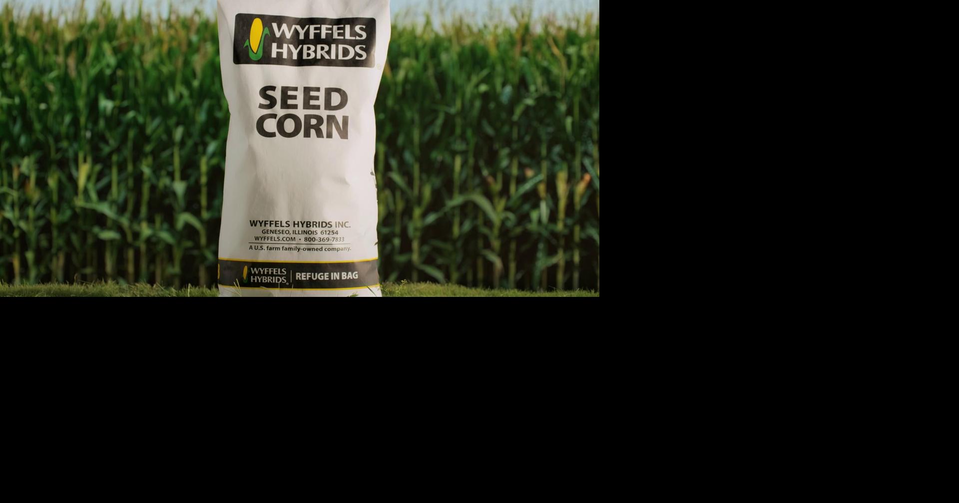 Wyffels Hybrids