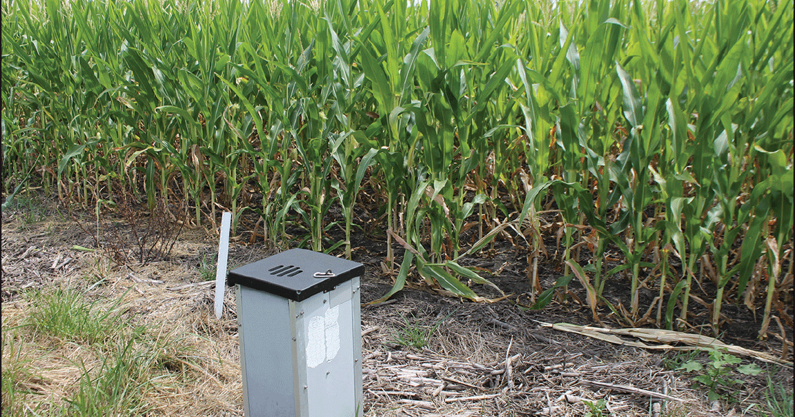 Research digs into ag challenges