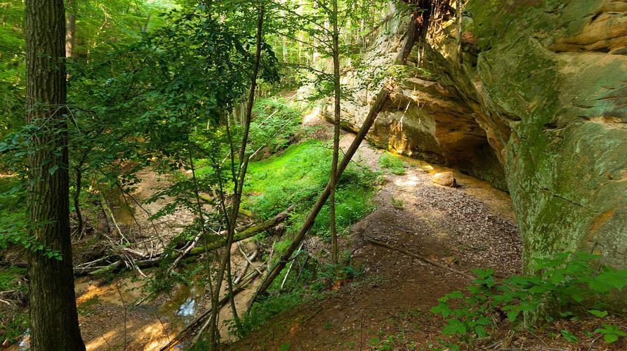 A rock shelter at Gullickson’s Glen shows where rock art has been found.