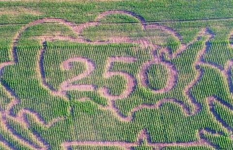Back 40 Corn Maze.jpg