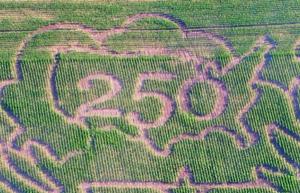 South Dakota corn mazes embrace America’s 250th birthday