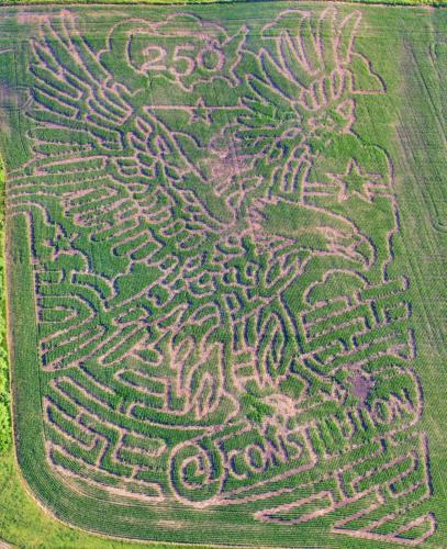 Back 40 Corn Maze.jpg
