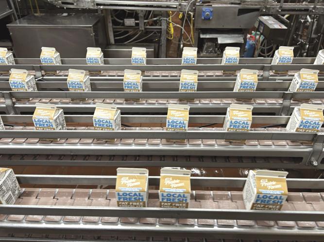 Lactose free milk (16) - worked.jpg