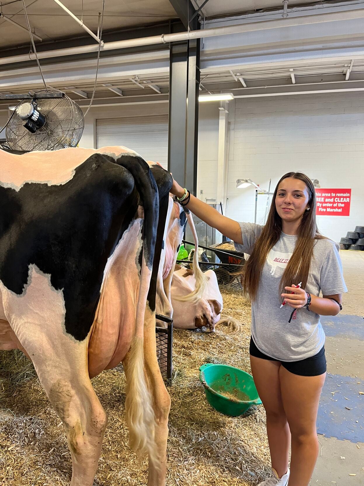 Down on the Farm 2.JPG