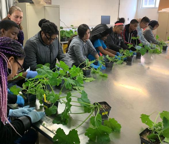Students in plant lab