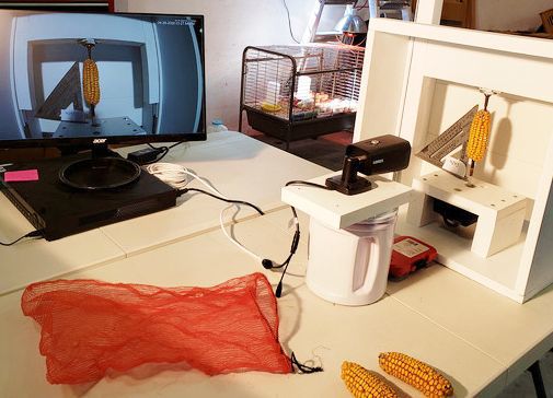 Corn ear scanner
