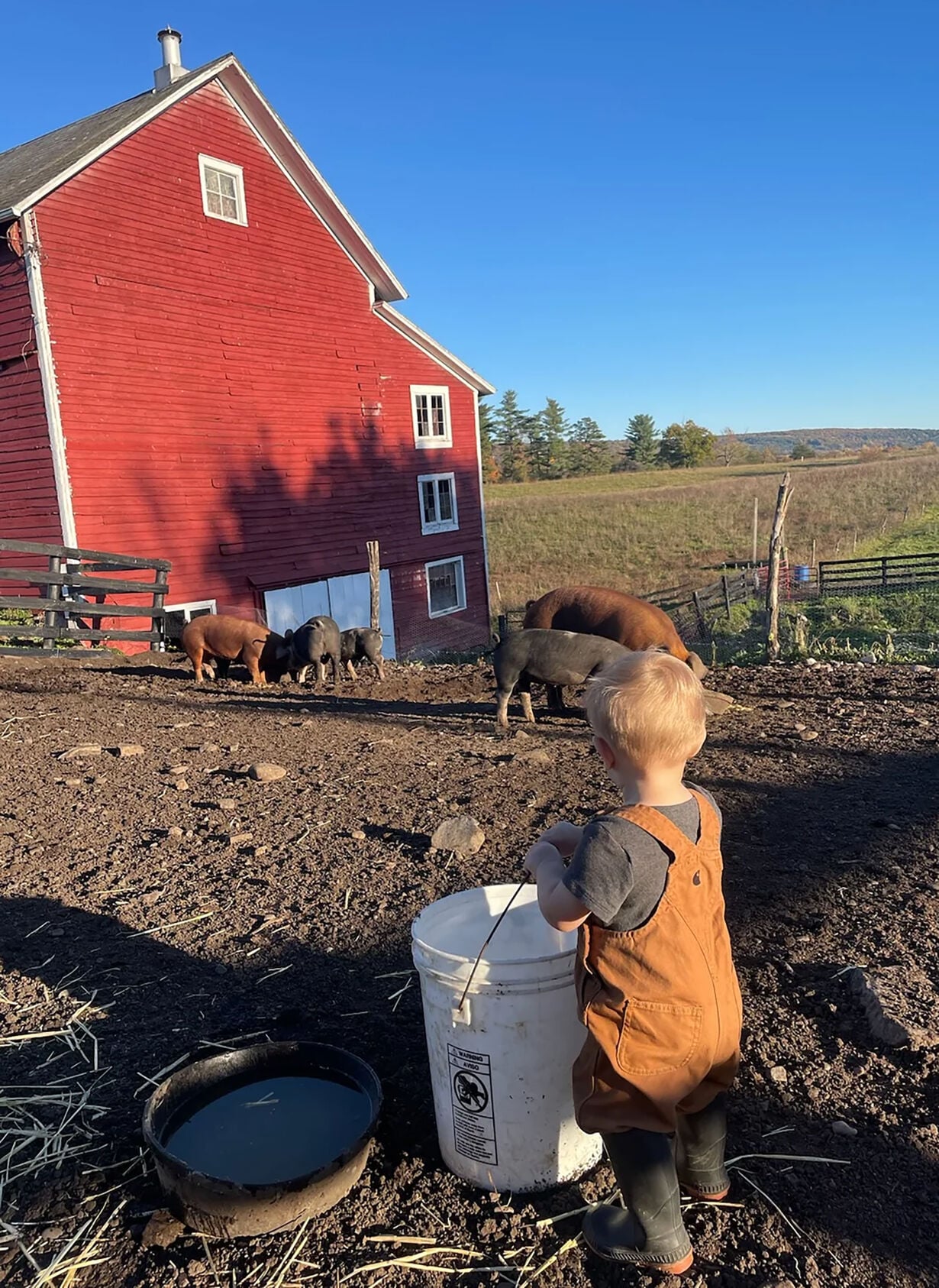 Child walking to barn