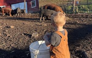 Child walking to barn