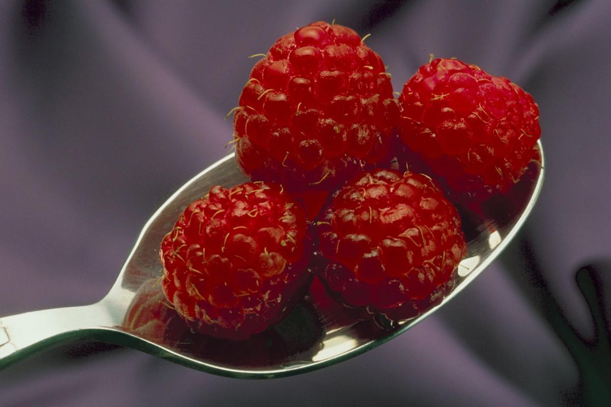 raspberry