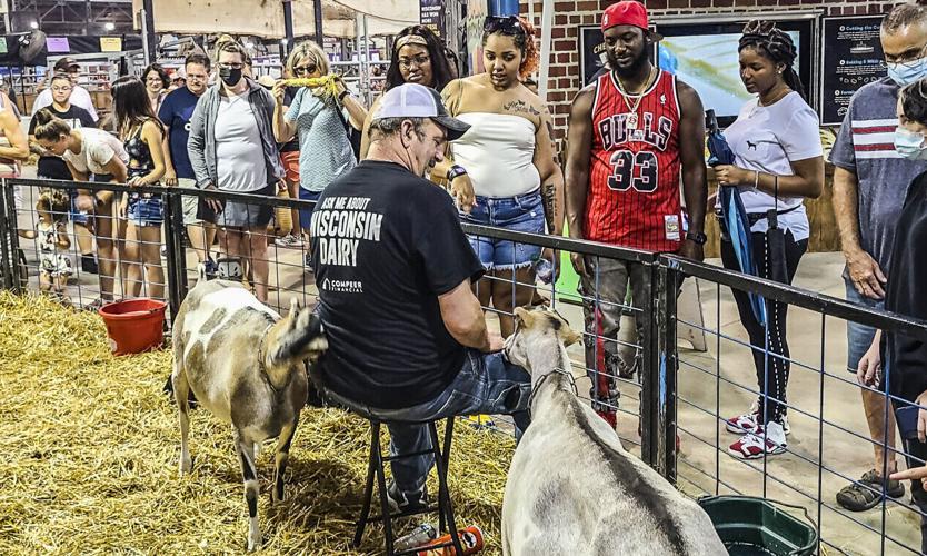 Dairy-goat exhibit at Dairy Lane