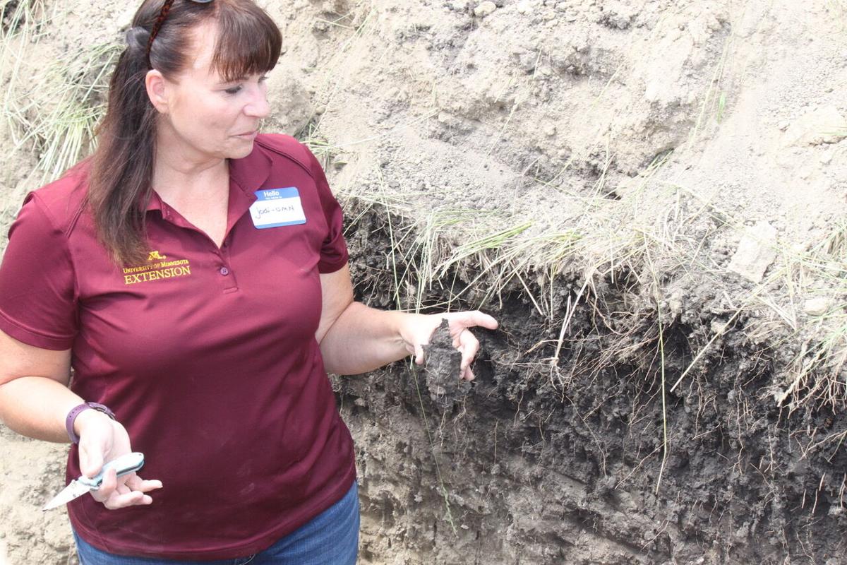 Good root structure