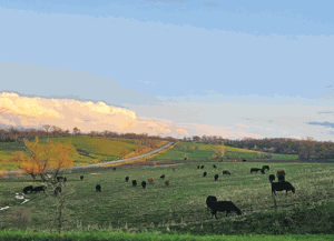Kristin-Central-Iowa.gif