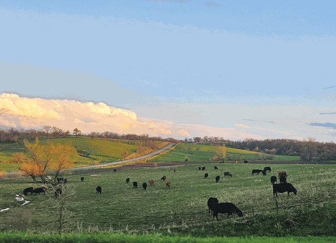 Kristin-Central-Iowa.gif