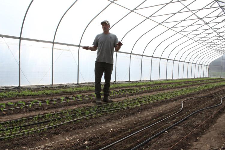 Cherry Rock (12).JPG