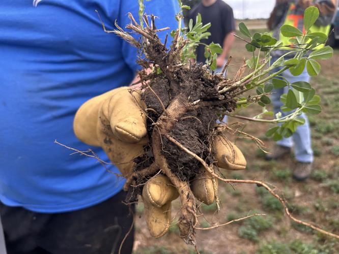 Burggraff field day (3).jpg