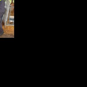 Ultrasounds on calves