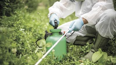 Worker uses pesticides