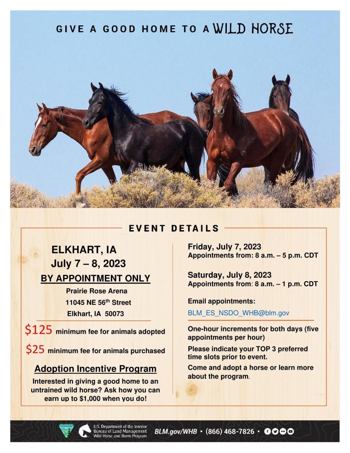 Wild horse and burro event