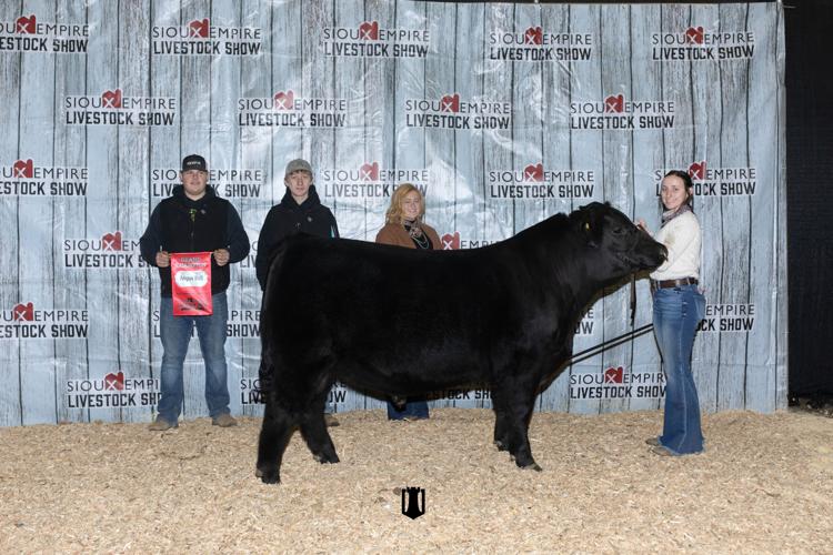 Ford Cattle Co. has top Angus bull at Sioux Empire show