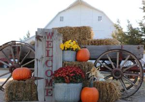 White barn 1.jpg
