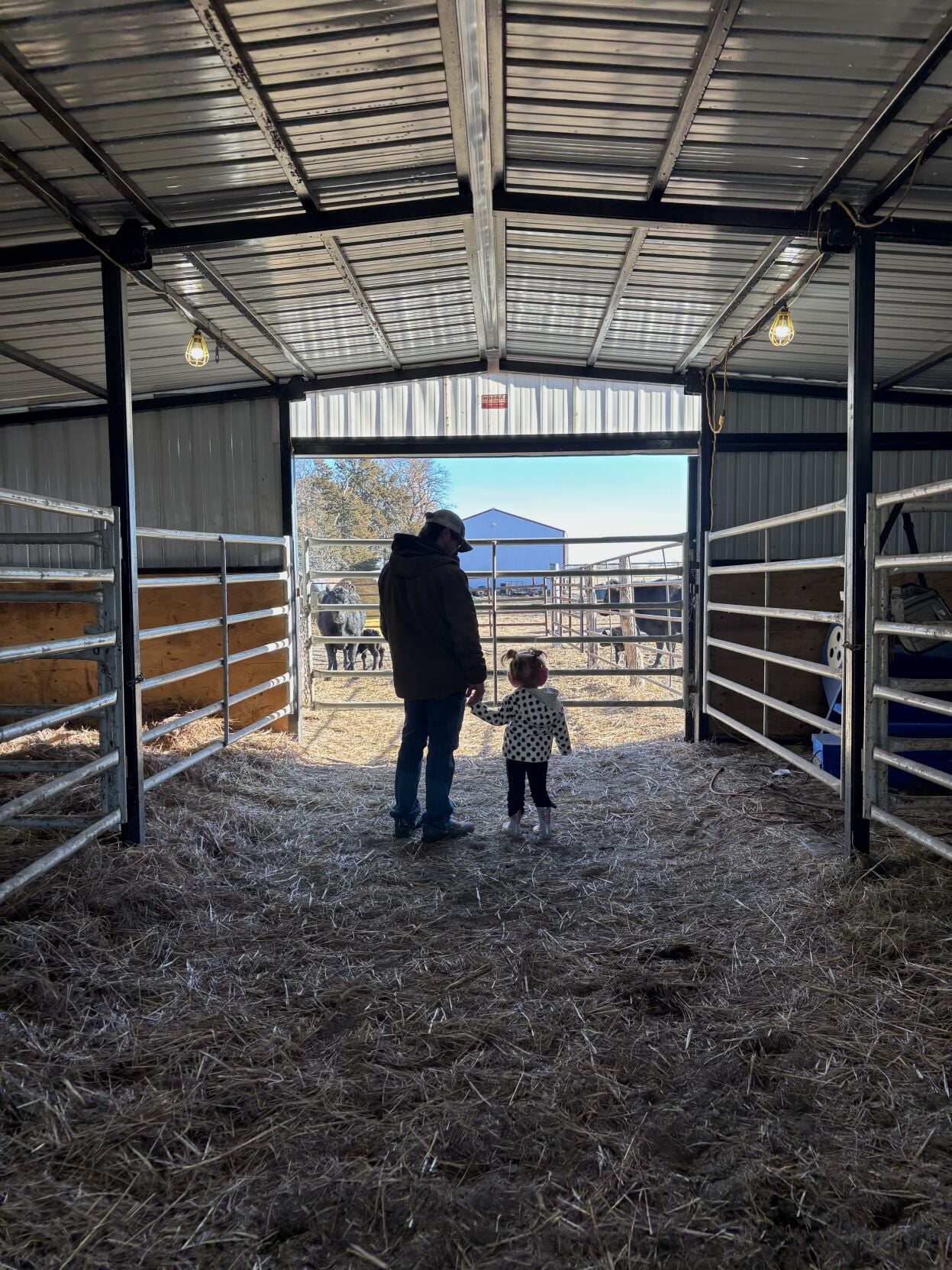 Sandhills Sunrise (1).jpg