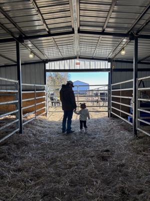 Sandhills Sunrise (1).jpg