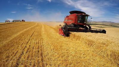 Circle S Seeds provides fall seed supply to northwest
