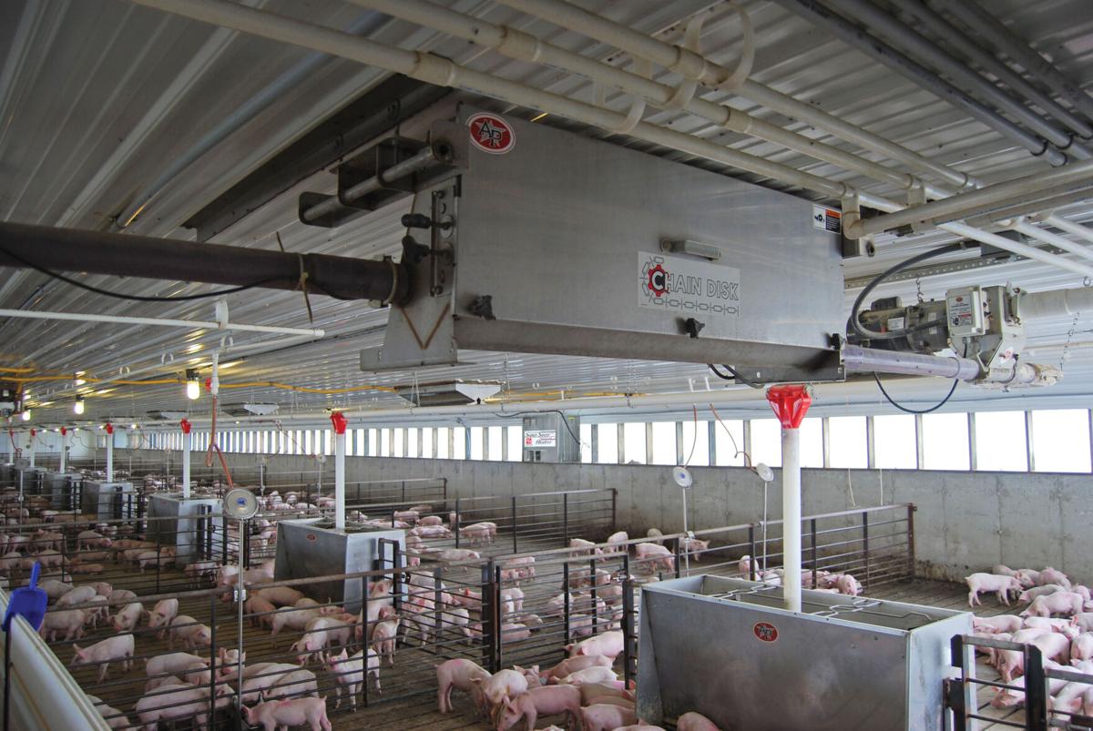 Pig Barn