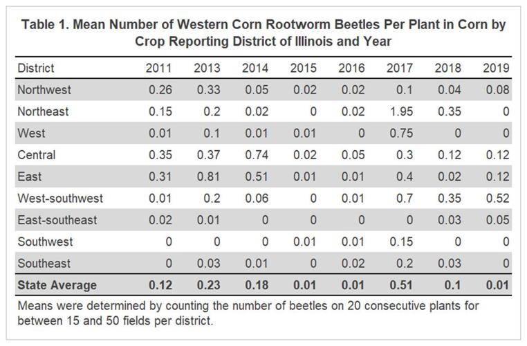 Corn root worm table