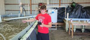 Shrimp farming (9).JPG