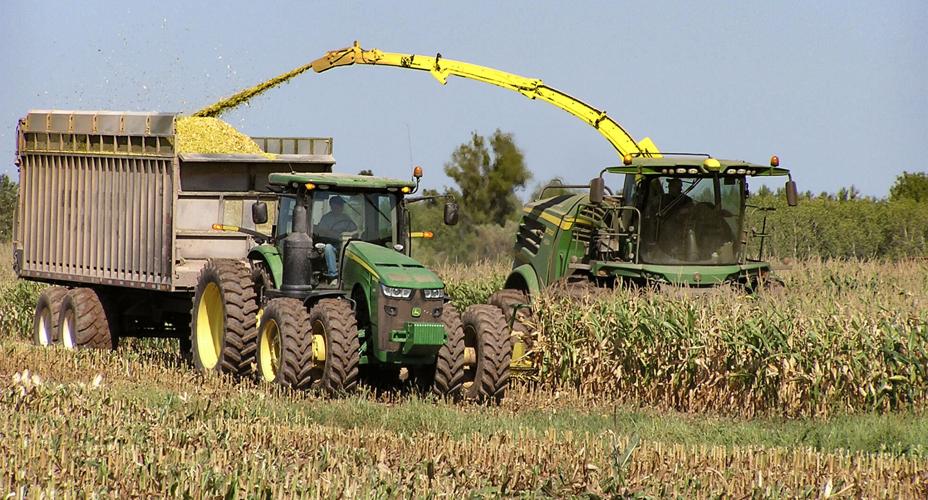 Tractor, wagon in field