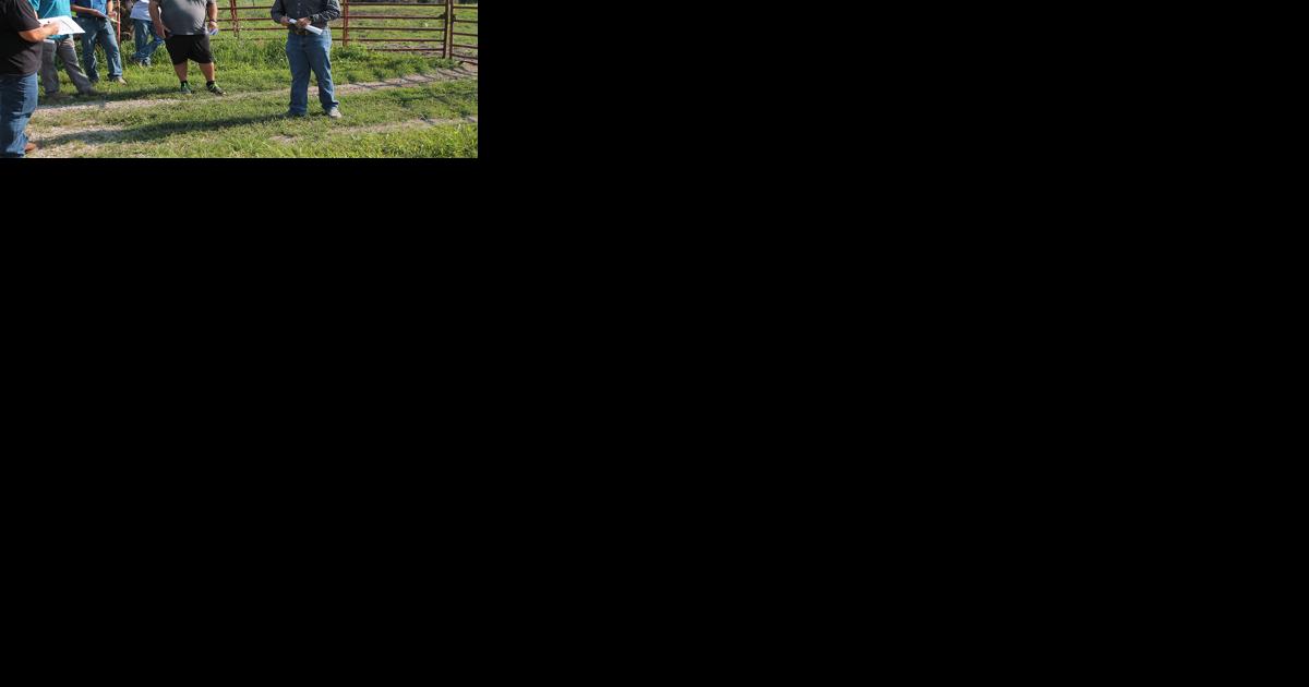 Producers consider replacement heifer strategies - Vimarsana News