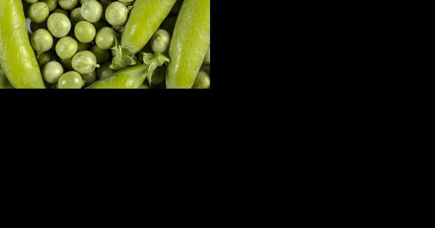 Flavorless peas turn 'flavorful' - Vimarsana News