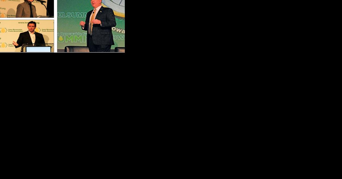 RFS, global markets take stage at summit - Vimarsana News