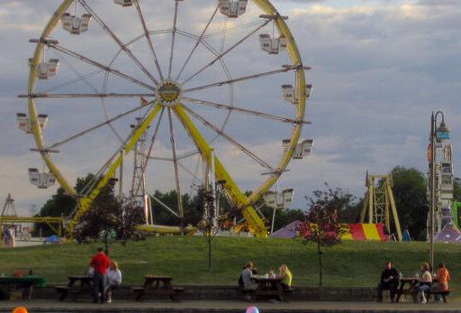 Montana Fair