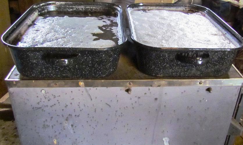 Sap cooks