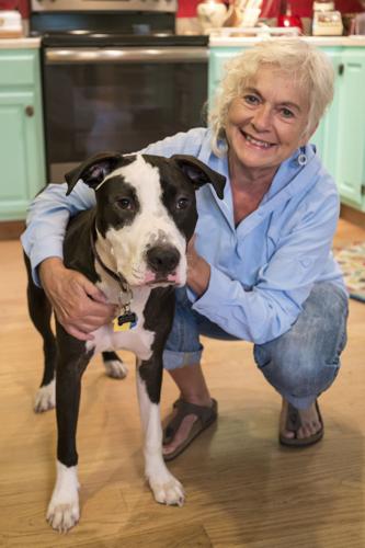 Cottrell with dog