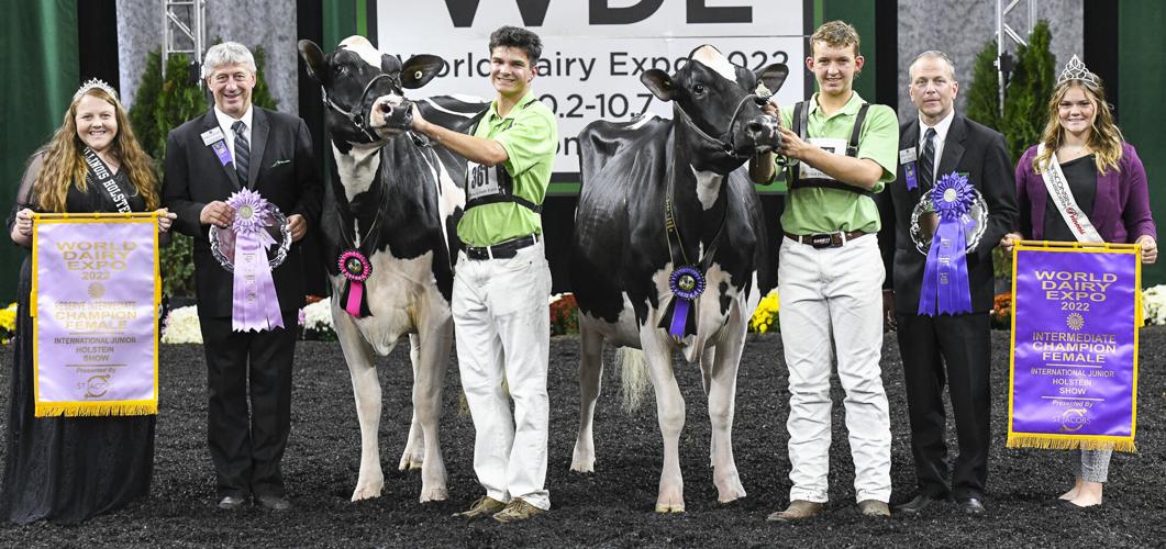 Junior Holstein winners named