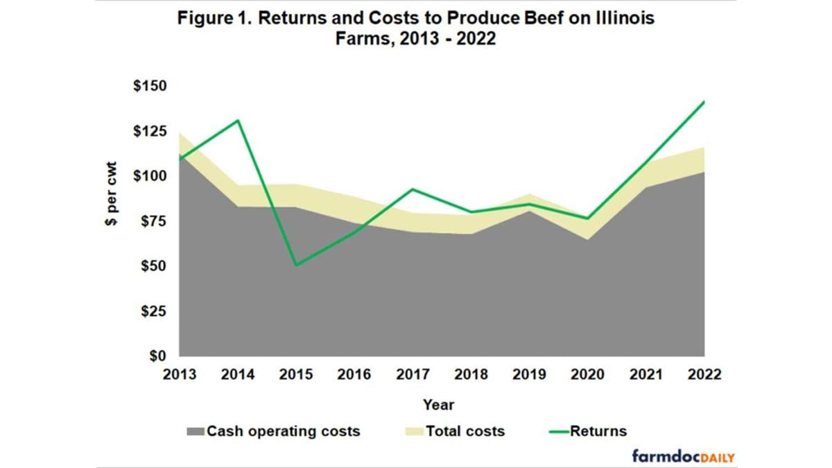 Costs and returns calculated for beef producers in 2022