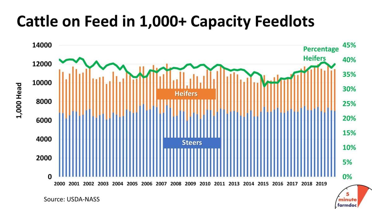 Cattle cycle follows trend