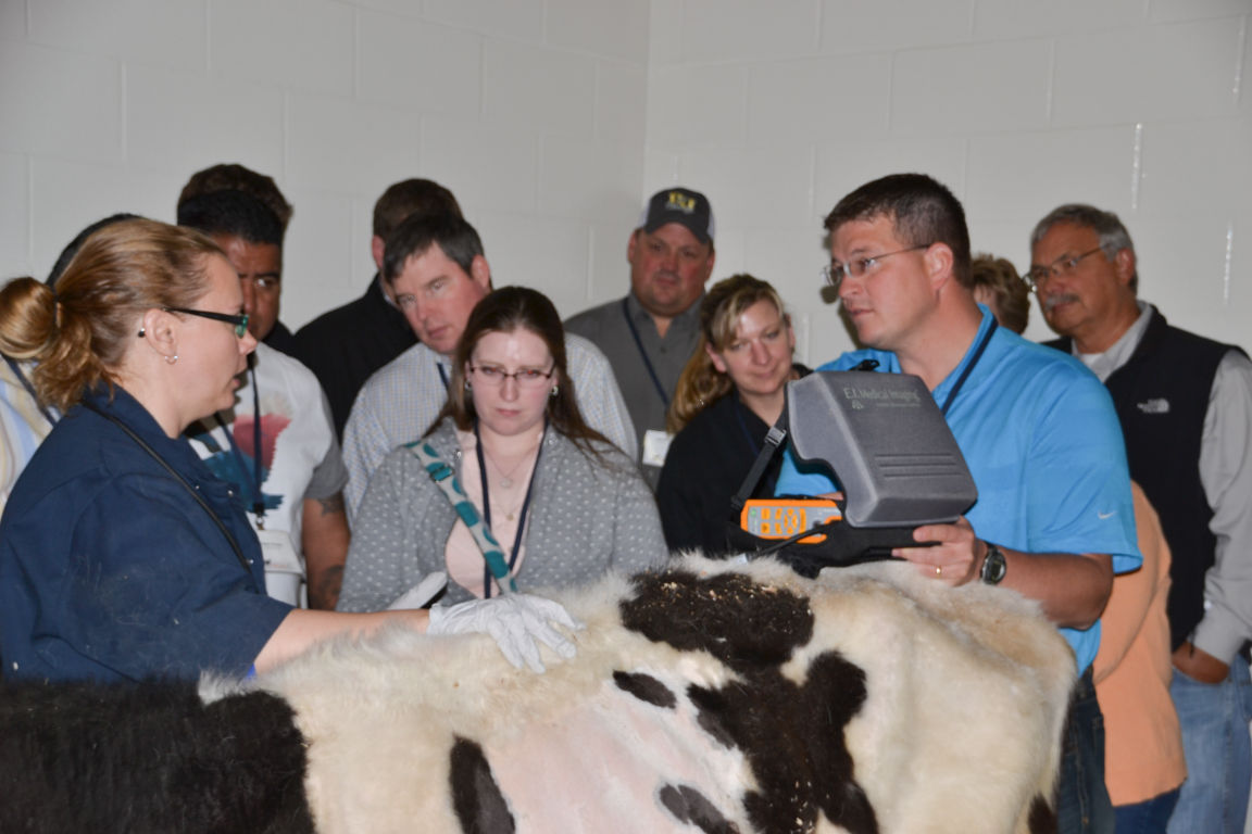 Registration Now Open For Dairy Calf And Heifer Association Conference